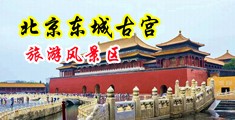 美少妇被大鸡巴插视频中国北京-东城古宫旅游风景区