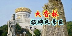 美女草B黄色中国浙江-绍兴大香林旅游风景区